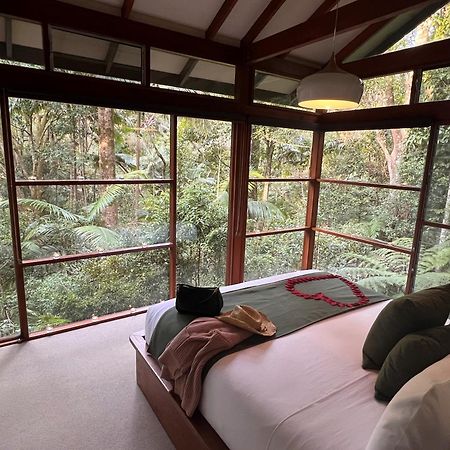 Crystal Creek Rainforest Retreat Esterno foto