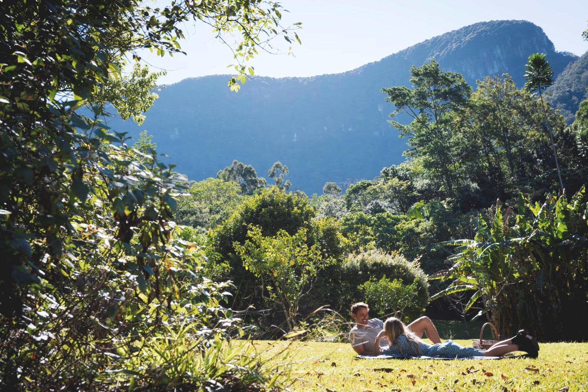Crystal Creek Rainforest Retreat Esterno foto
