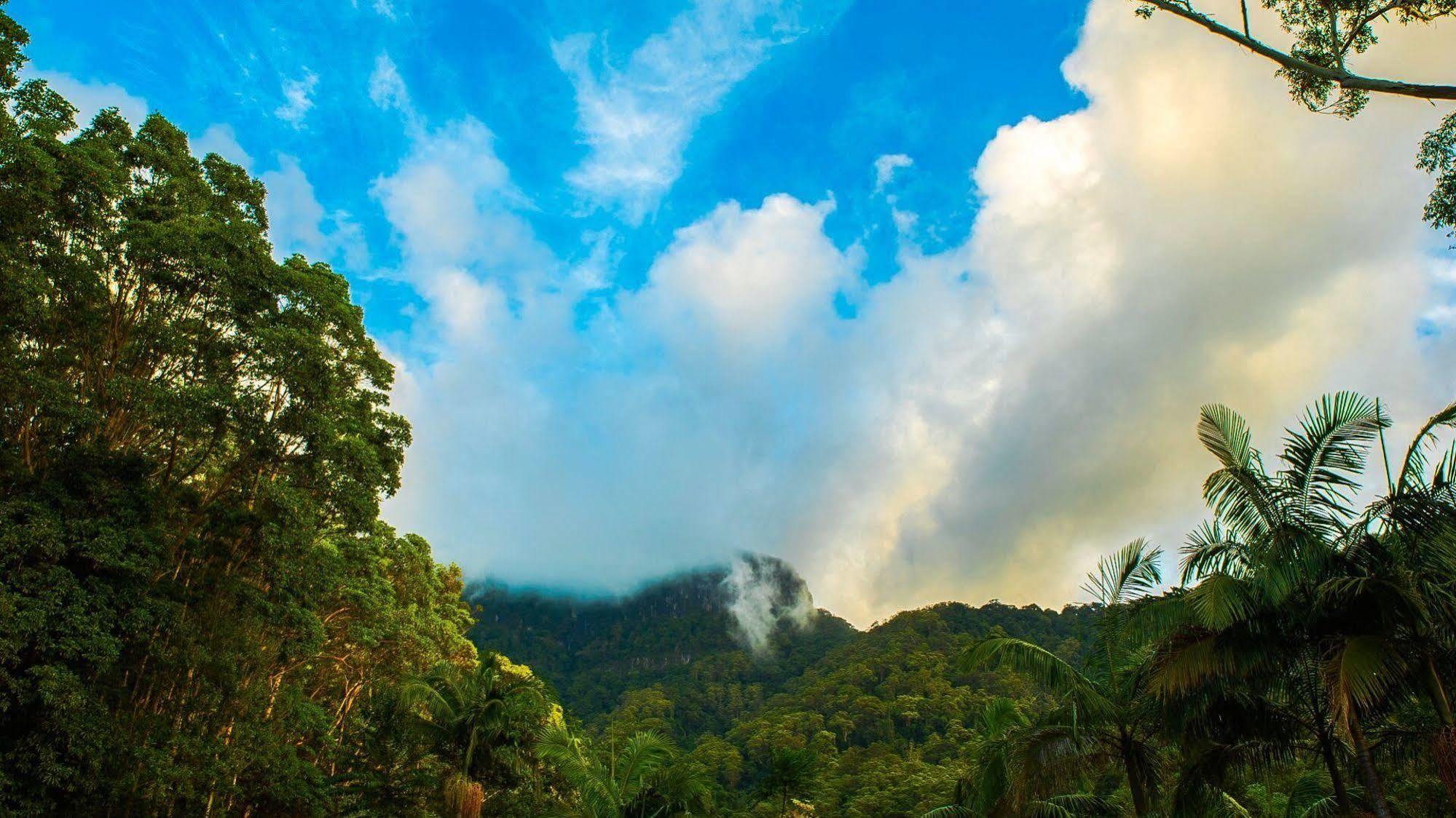 Crystal Creek Rainforest Retreat Esterno foto